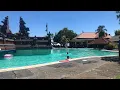 Download Lagu Bintang Bali Resort