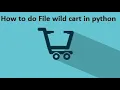 How to do File wild card in python glob