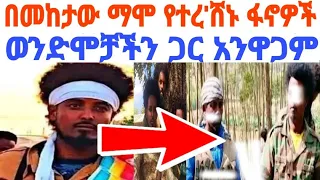 መከተው ማሞ የረሸናቸው ፋኖዎች ወንድሞቻችን ጋር አንዋጋም በማለታቸው ረሸኗቸው 