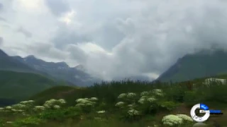 نشيد يارب انك مالك امر الورى 