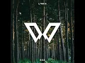 Rise - Lynnic
