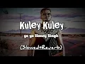 Download Lagu kuley kuley lofi song || honey Singh new lofi song || #lofi #song