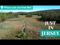 The Appalachian Trail unveils N J s epic and unexpected side