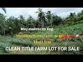 FARM LOT CLEAN TITLE FOR SALE MAY MALINIS NA ILOG IDEAL FOR CAMPING SITE RESORT SOLD