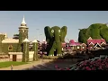 Download Lagu Miracle gardens.... the Guinness World Record breaker.(episode 2)