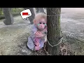 Lagu Baby Monkey Tini is crying sadly because she misses Mom