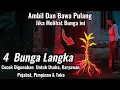 Lagu AMBIL DAN BAWA PULANG !! 4 Bunga Langka Yang Memiliki Tuah Kesaktian Luarbiasa
