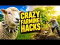 Incredible Farming Processes How Millions of Fruits Are Harvested
