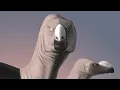 The Strangest Fossils Ever Found in Australia