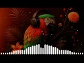 AFRO HOUSE/MELODIC MIX WITH : HUGEL, GROSSOMODDO, BADBOX, BALVIN, TOM ENZY, MANUEL2SANTOS, RBØR