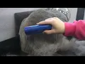 The BEST de-shedding brush Must have for pet owners