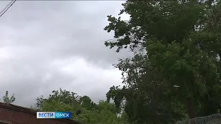 В Омской области ожидается жара и дождь