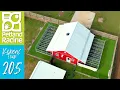Petland Racine Kennel Tour 205