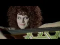 Prick - Animal