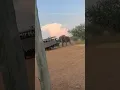 Download Lagu Elephant lifts safari truck in South Africa