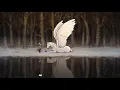 Download Lagu I can fly - The Boy, the Mole, the Fox and the Horse
