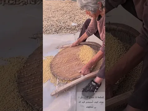🌾 فصل فول الصويا بمنخل قديم! الحبوب الممتلئة تخرج أولاً 🦀 حكمة المزارعين
