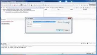 Debugging Program in Flash