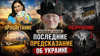 Роковая ошибка предсказания от Нечая ТАРО расшифровал Предсказание Нечая для Украины