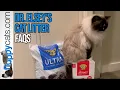 Dr Elsey s Cat Litter FAQ Is Dr Elsey s cat litter safe