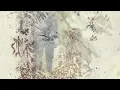 Sigur Rós - Hoppípolla (Planet Earth II Mix)