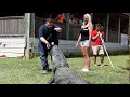 The Texas Bucket List - Gator Country in Beaumont