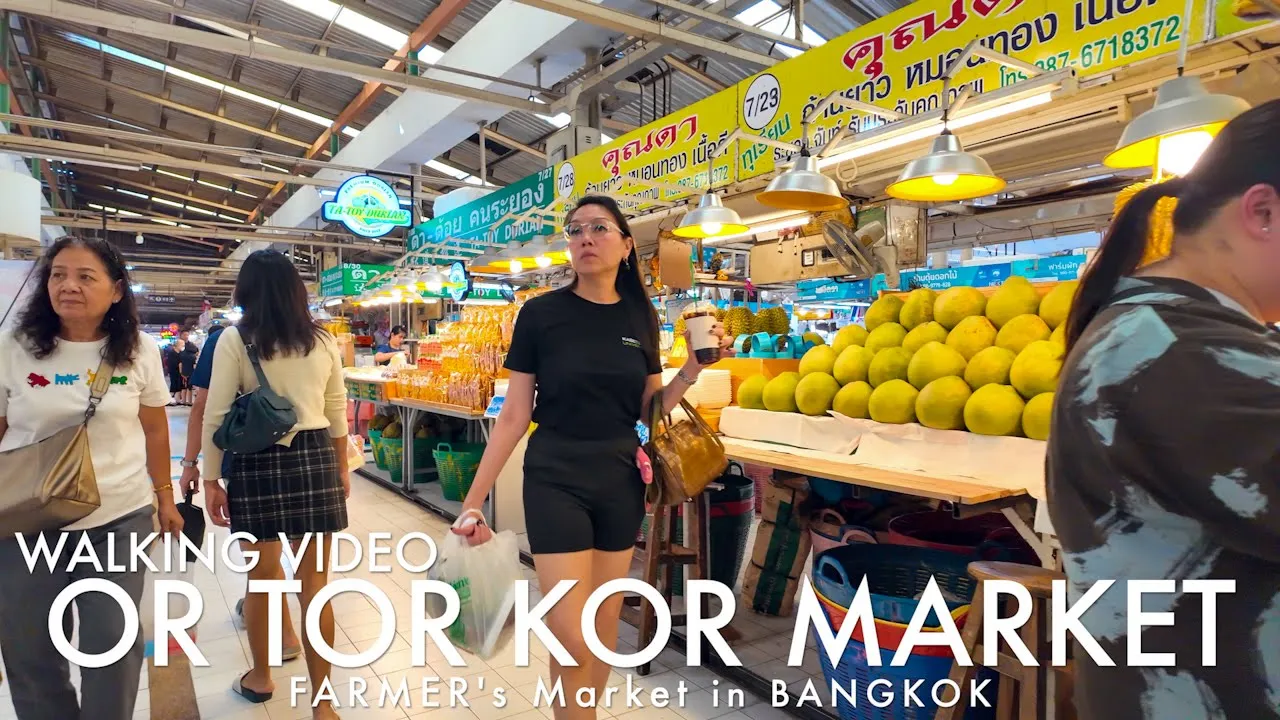 Youtube video ycxuUPuTDUU 