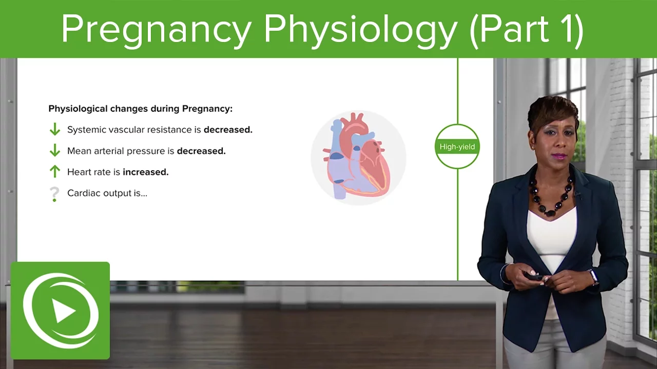 Pregnancy Physiology: Cardiovascular, Hematologic & Respiratory System– Obstetrics | Lecturio