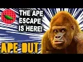 THE GREAT APE ESCAPE HAS ARRIVED -