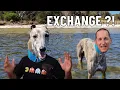 Weird EXCHANGE PARTITION failures