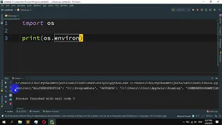How to access environment variables in Python