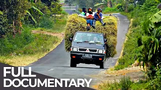 Earth Untold Java Hidden Tales from the World s Most Crowded Island Free Documentary
