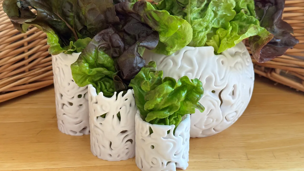 Lactuca Cylinder Vase Small