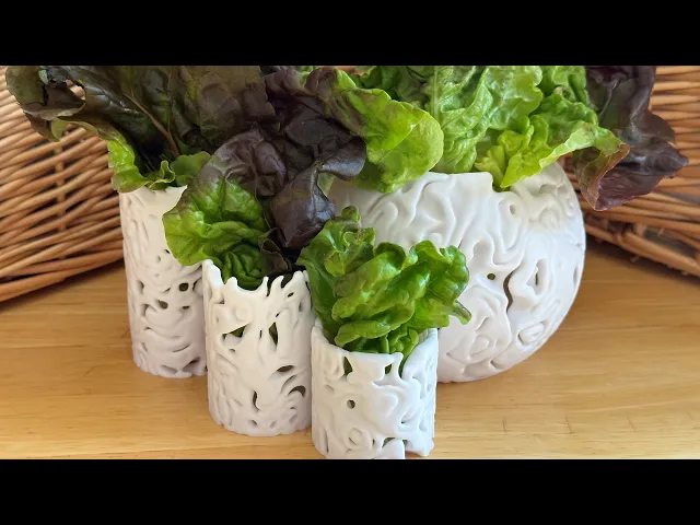 Lactuca Round Bowl video thumbnail