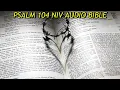 PSALM 104 NIV BIBLE with text
