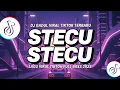 Lagu DJ REMIX STECU STECU VIRAL TIKTOK by DJ GADUL