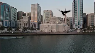 ماتيسر من سورة العنكبوت بصوت القارئ أحمد عبدالرزاق نصر مسجد النور الشارقة Elnasr1990 