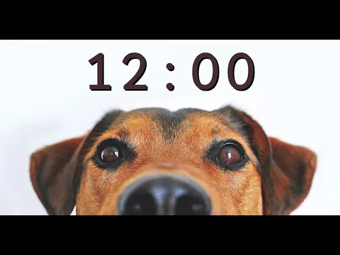 Download MP3 12 Minute Timer for School and Homework - Dog Bark Alarm Sound