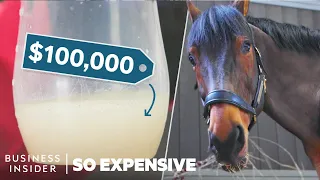why horse semen is the world s most expensive liquid so expensive