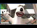 Download Lagu Opera singer | Bernard the bear | 185' Compilation | Cartoon For Kids