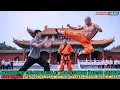 Download Lagu Aksi Heroik! TKI Pencak Silat Menjatuhkan Master Shaolin | Arena Shaolin Gempar