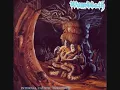 Wombbath - Intestinal Bleeding