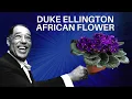 And Duke Ellington on Piano  - African Flower