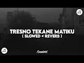 Download Lagu DJ TRESNO TEKANE MATIKU ( SLOWED + REVERB )🎧🎶 MP3