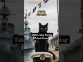 Download Lagu Eps 9.Kisah inspiratif,Tiddles, Sang Kucing Pelaut Dunia#kisahinspiratif #cat #kucing