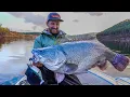 GIANT Murray cod - Big Baits for Heavy Weights