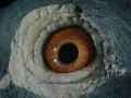 BICEP | Gas (feat. Lauren Duffus & SOARR) (Official Video) - Lauren Duffus, Bicep & SOARR