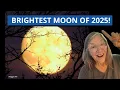 2025 s Closest Full Moon When Where Why It s So Bright