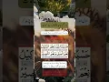 Download Lagu Hasbunallah Wanimal Wakeel |  حَسْبُنَا اللَّهُ وَنِعْمَ الْوَكِيلُ | Hasbunallahu Wa Ni'mal Wakeel