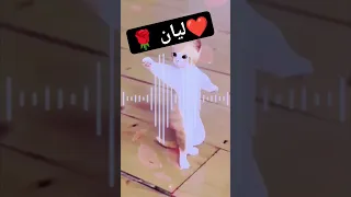 الاكتر طلبا ليان ليان ترند السعودية ترند تيك توك ترند العراق العراق ترند Shorts Short 